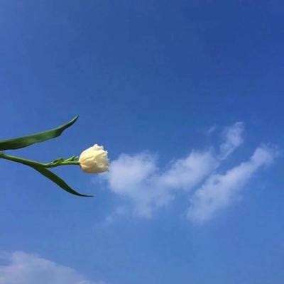 海水消消乐游戏下载